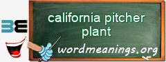 WordMeaning blackboard for california pitcher plant